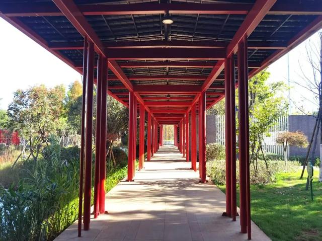 明珠广场2.0版本更新