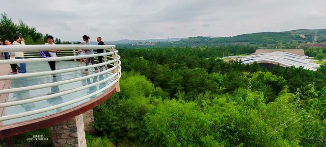 30年后，又来云岗石窟