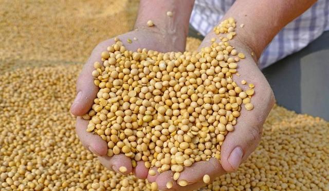 美论坛：不管中国承不承认，中国其实已经输掉了关税战？