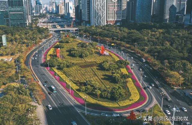 深圳人深情表白：“因为一条路，爱上一座城！”