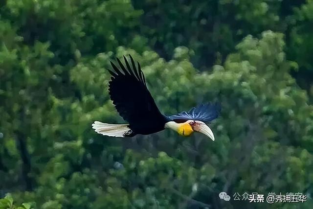 旅居云南｜德宏，是你安放身心、享受生活的最佳过冬地！