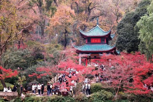 图游天下|去哪儿玩？高清组图，晒出打卡好地