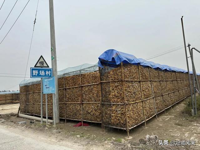 冠县乡韵·桑阿镇野场村