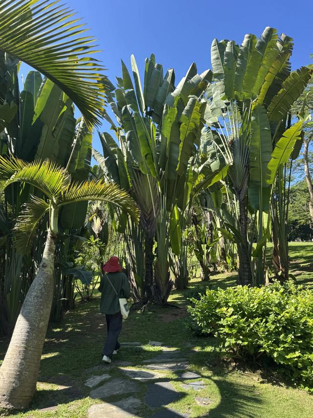 畅游植物王国 体验傣族风情