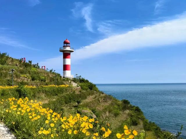 星光岛→灵山岛！青岛又一海上观光航线开通！