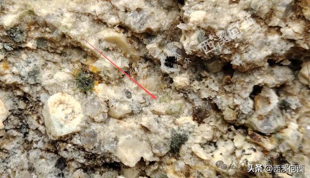 全程超150站，挑战临安最长公交通行线