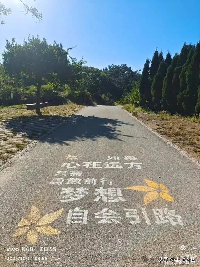 浮山漫记：藏在青岛城央的自然诗篇｜申艳娟