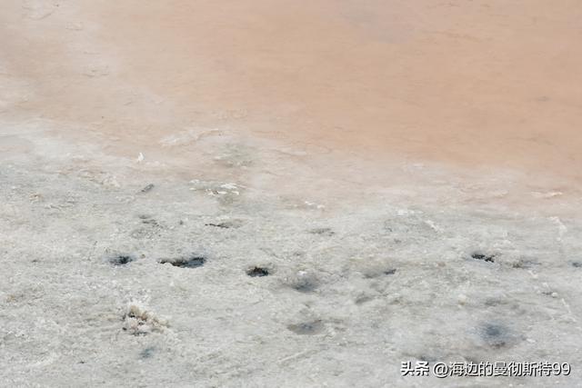 海边游记｜沙海狂飙与绿洲寻踪：内蒙古腾格里沙漠一日“历险记”