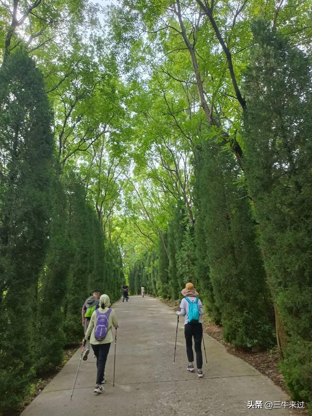 无为在歧路，巍巍马鞍山