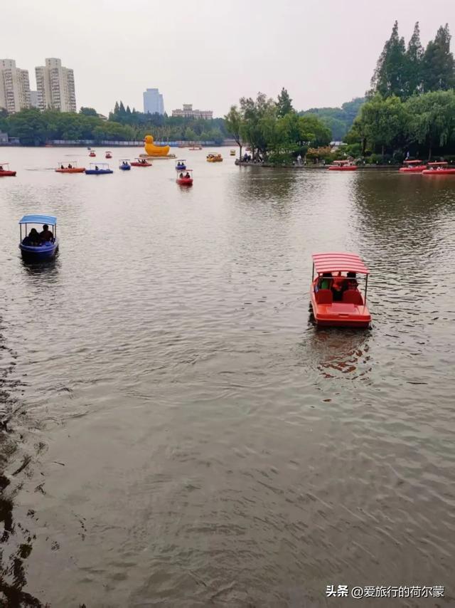 避开人潮！解锁魔都“绿肺”新玩法，长风公园等你来玩！