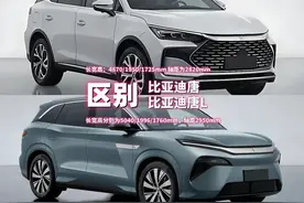 比亚迪唐L：定价可能“一车三吃”图片