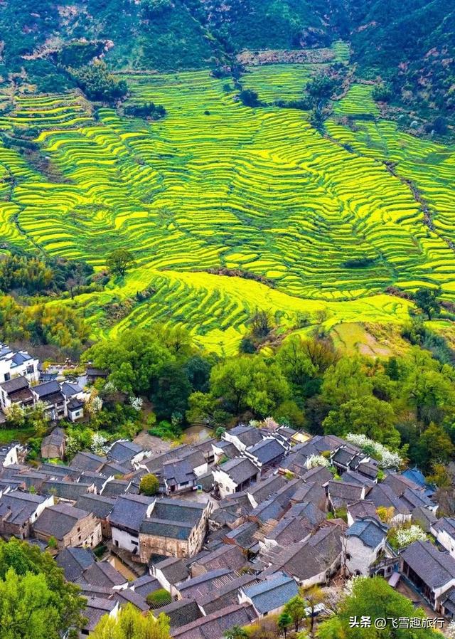 春暖花开，正是赏花好时节，这份三月赏花路线图请收好