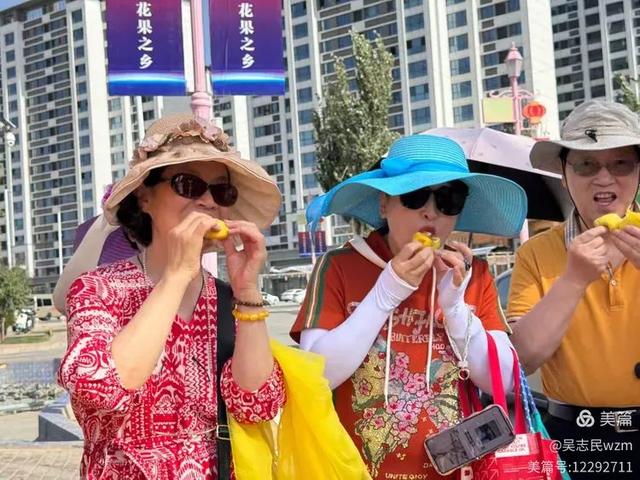 参观中国无花果之乡 想你的风吹到了阿孜汗 北京开国将军后代合唱团