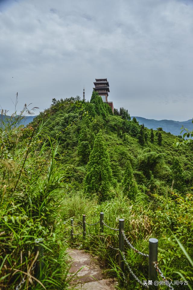 雅安被遗忘的省保，藏着深山中的千年守望
