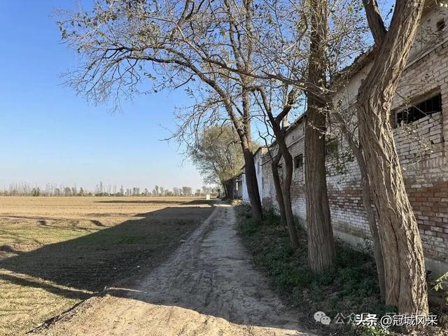 冠县乡韵·贾镇岑庄