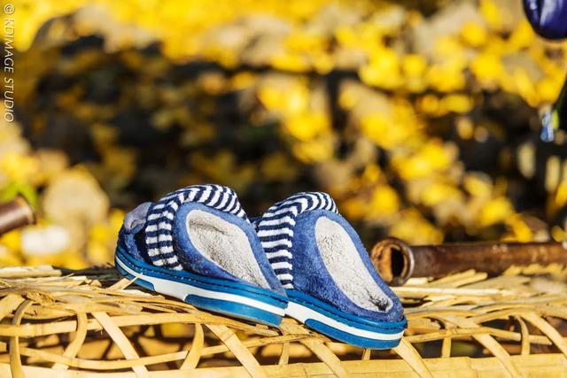 我愿称腾冲为秋季的天花板!银杏、温泉、古镇,来过的人都不想走