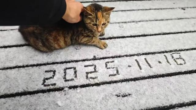 雪落恩施，大峡谷与坪坝营开启仙境模式！