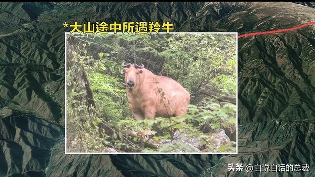 鳌太线：诡异到被封禁的中华龙脉，地处秦岭之上却比珠峰更加凶险