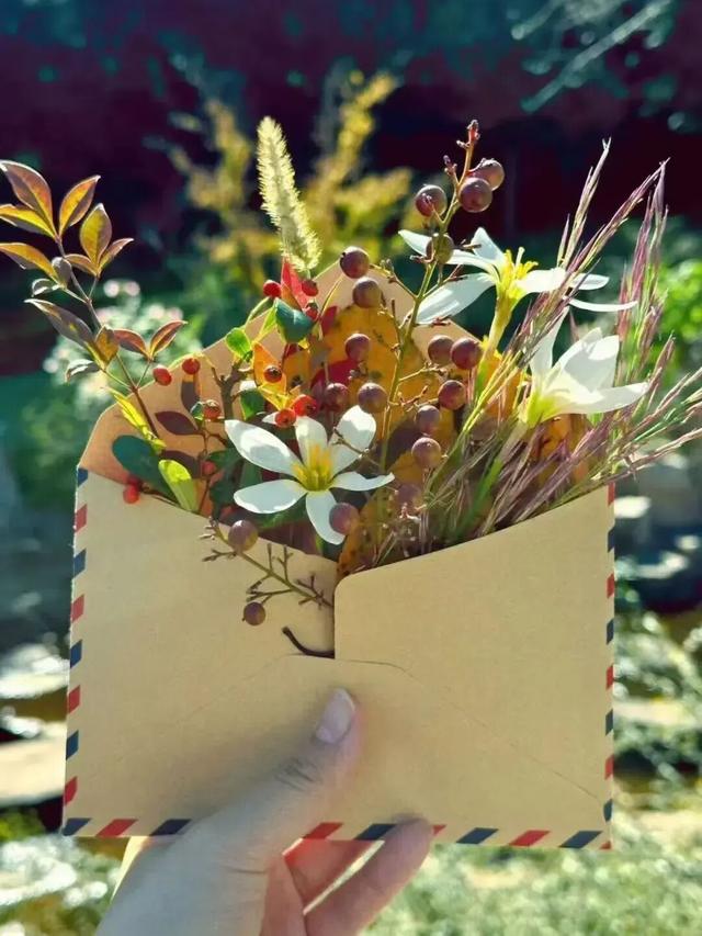 来淄博“捡秋”！海岱楼、周村大街…全被捡出来了→