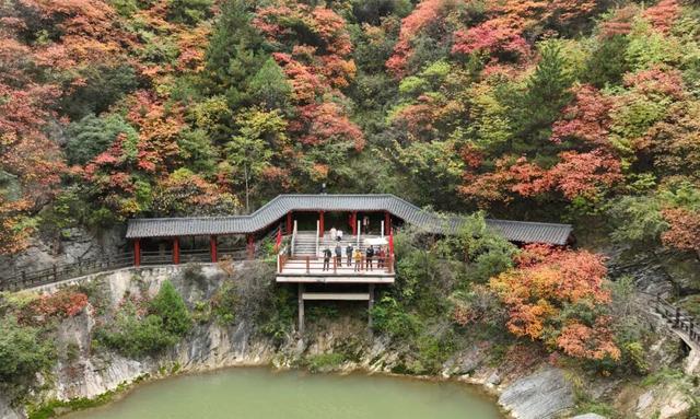 这才是秋天该有的样子~