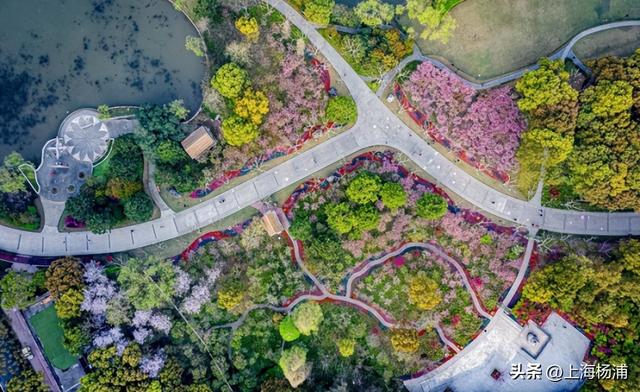 杨浦这些景点“限时优惠”，你去过几家？