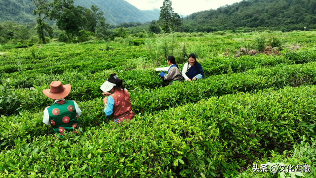 这个被胡歌疯狂点赞的小城，最新冬游活动出炉，邀您过暖冬！