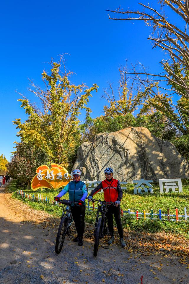 秋日邀约｜听说，你们都去看银杏了