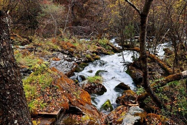 四川这个地方的初冬，是彩色的！