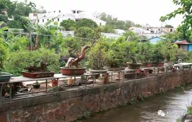 澳门路环，宁静超脱……