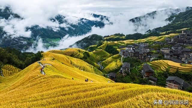 秋天，这十大红叶观赏地告诉你该去哪？