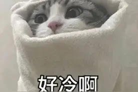 时隔323天，广州市区再发寒冷预警！最低温低至……图片