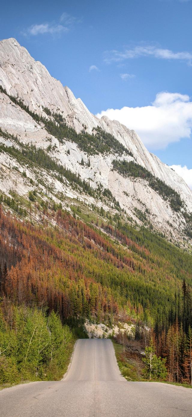 手机壁纸|iOS自然风光美景