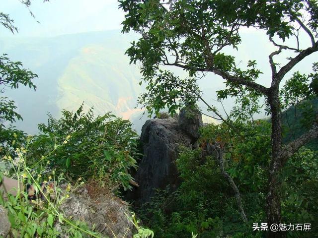 多彩牛街 彝韵飘香 | 自然旅游篇