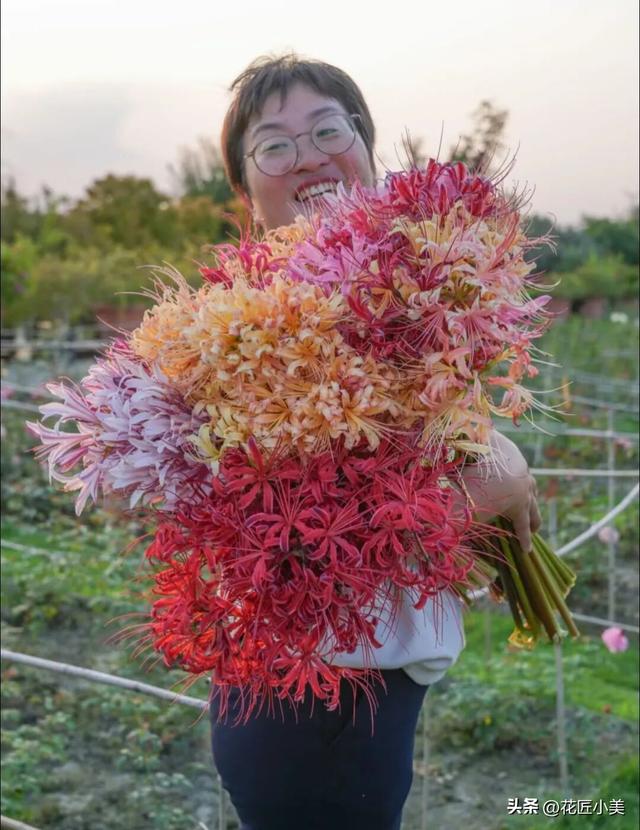 女子养了11年的花，马上就要开了，可惜因出差看不到了
