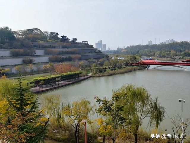 五线小城里的银杏大道，美翻全网的深秋景色原来在这里