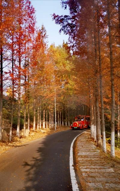 刚从新疆回来，65岁阿姨拉着我聊：退休后慢旅行，就记住这4个字