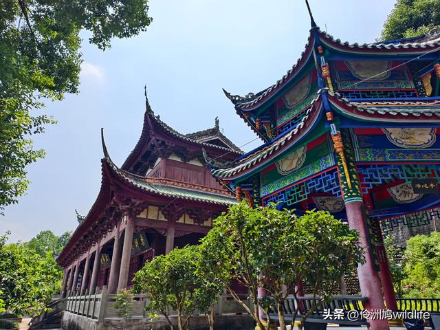 成都徒步（68）·彭州篇⑮佛山古寺&镇国寺宝塔