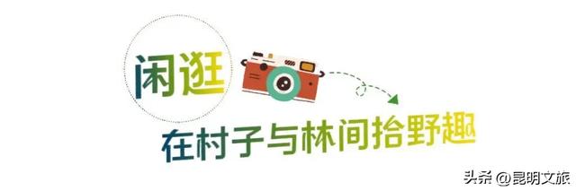 昆明十七公里外,藏着一个可以看“海”的白族村