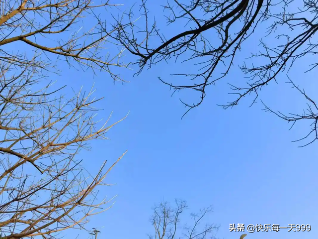 “最怕三九晴又暖” 今年三九太反常 连续晴天，有啥预兆？农谚咋说