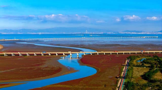 红石崖生态画卷美不胜收，瞧，河海染秋色，红海滩惊艳金色秋天