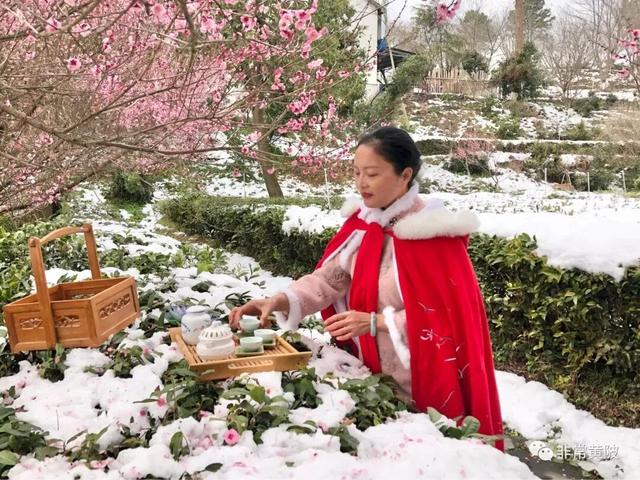 大寒至，雪满黄陂梅正香！