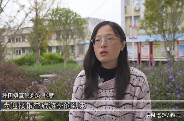 韶关南雄：保障升级引客来！坪田银杏绘就富民新图景