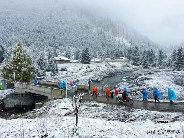 甲依拉措 ：一场白雪与彩林的盛宴