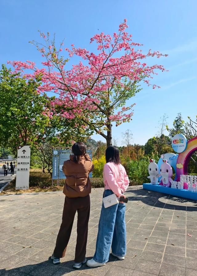 初冬限定！星湖美景焕新上线，打卡要趁早~