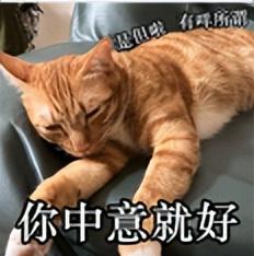 差价 500 元，小米紧急上架新机，又卷起来了！