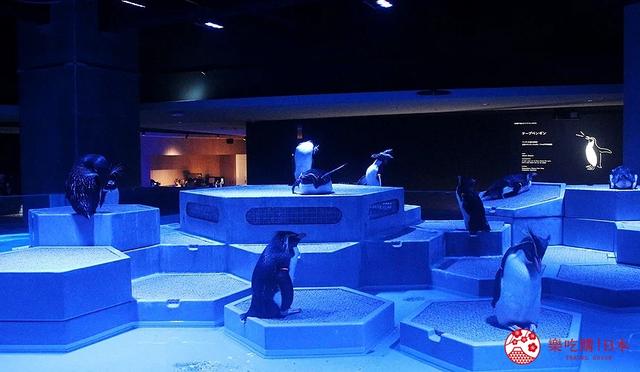 夜游札幌景点推荐「AOAO SAPPORO」水族馆:狸小路地下街直达