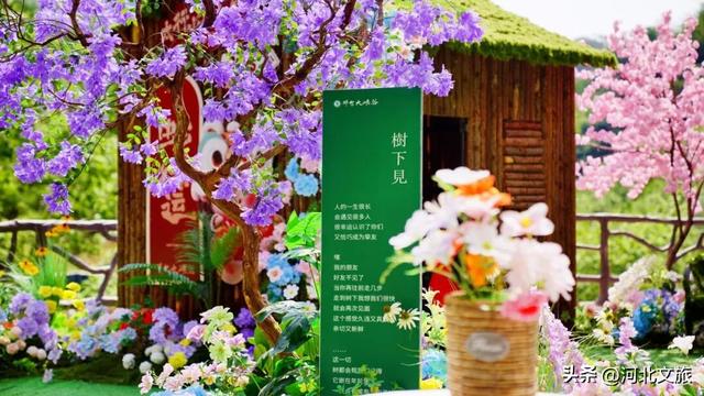 好吃好看又好玩！“十一”邢台开启全面宠客模式