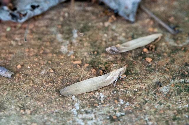 秋天不这样玩一遭，白来人间一整年