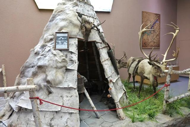 吉畜吉品 “畜”势待发 | 网络名人打卡中国双阳梅花鹿博物馆