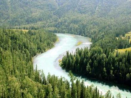新疆旅游：喀纳斯梦幻之旅全景大扫描（图）